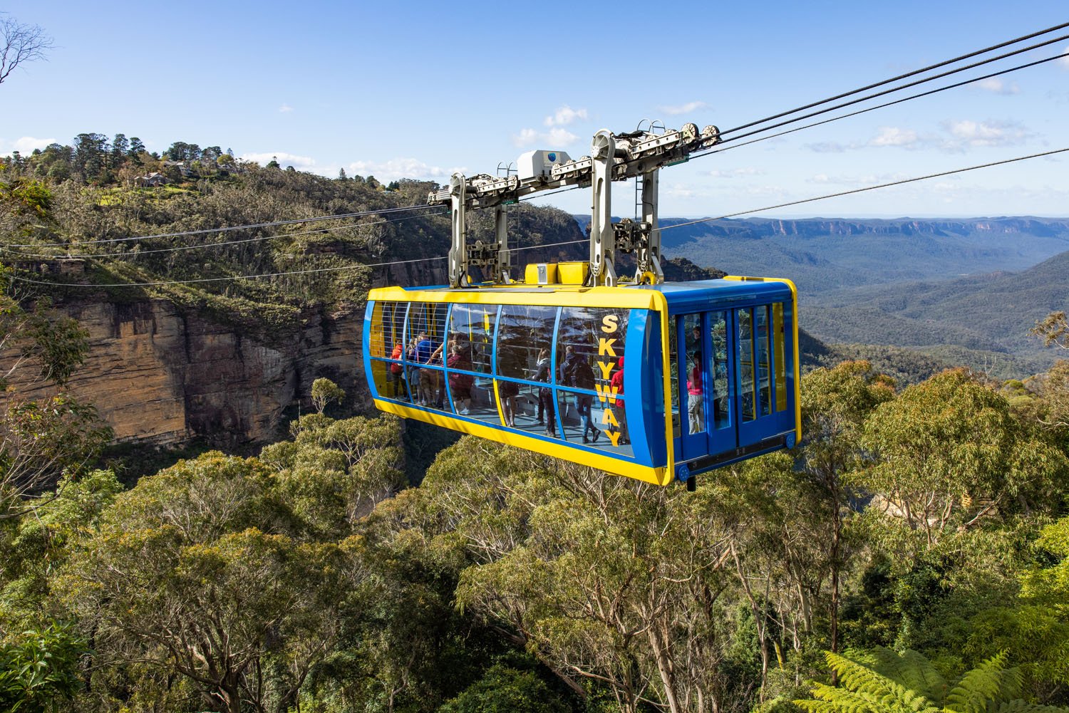 Scenic World
